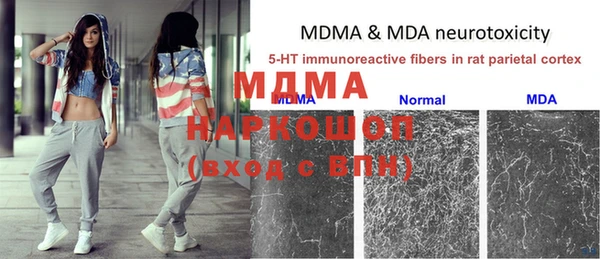 стаф Армянск