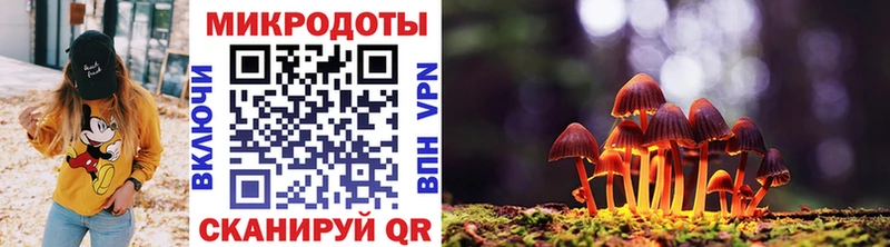Купить где  Ростов  Псилоцибиновые грибы GOLDEN TEACHER 